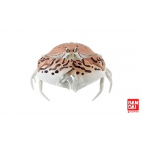 box-crab