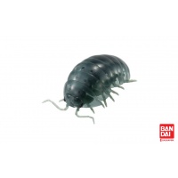 isopod-clear-gray