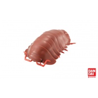 isopod-reddish-brown