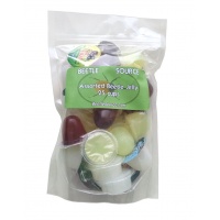 Zoo Pack - Bulk 200 Mixed Jelly Cups