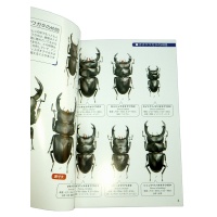 stag-book-02